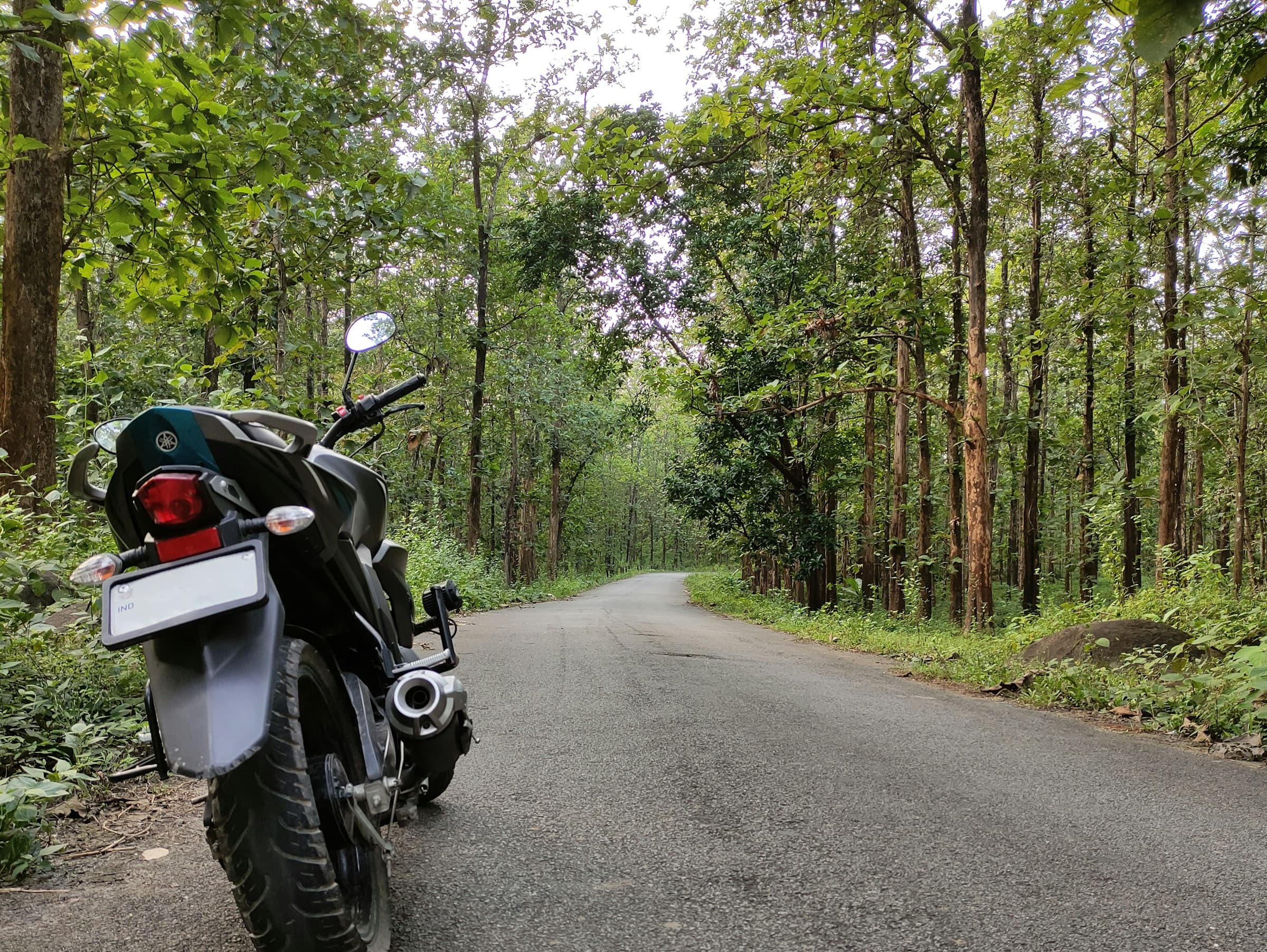 Riding through a forest road in Northeast India