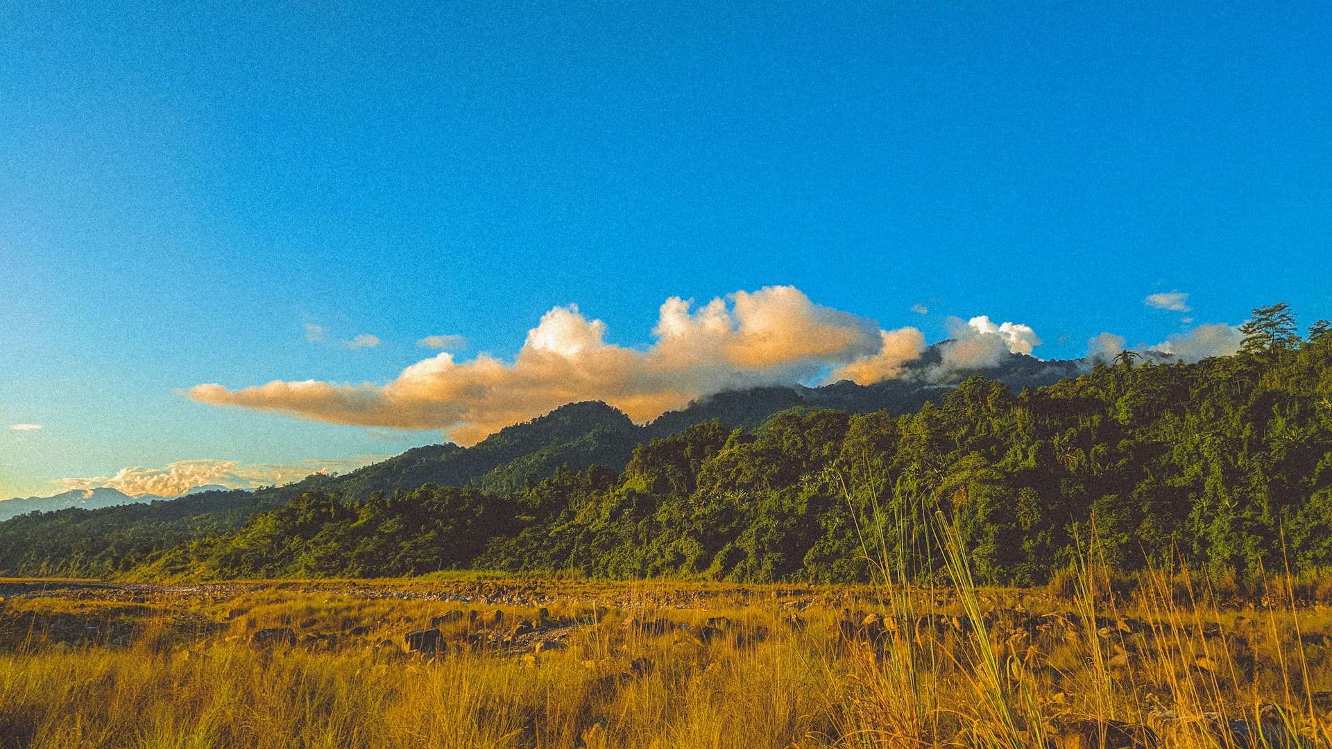 Roing Arunachal Pradesh: Lower Dibang Valley Travel Guide