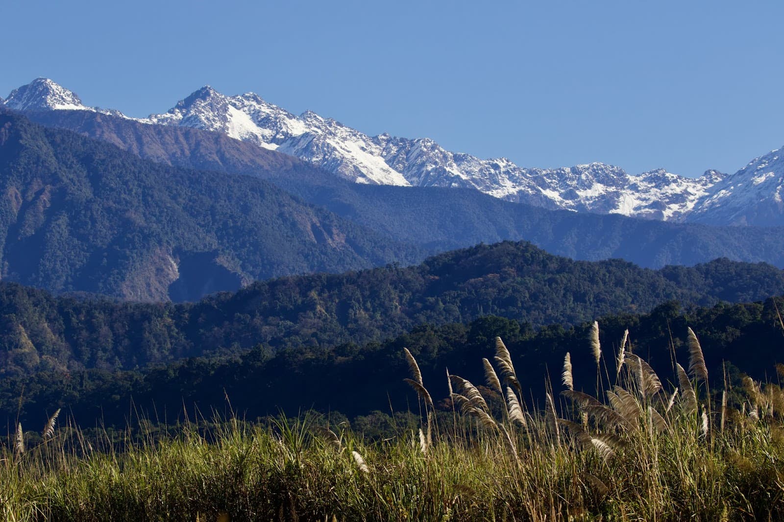 Namdapha National Park