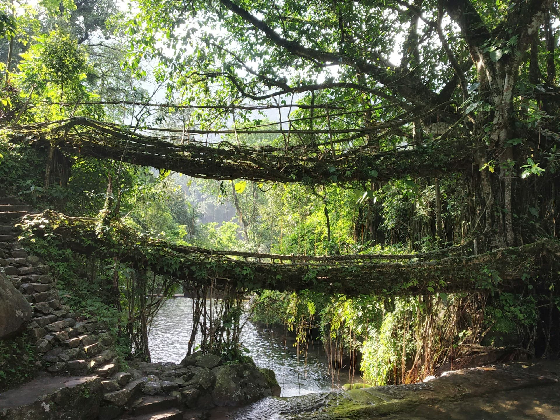 The Drive to Cherrapunji Is Half the Reason to Go