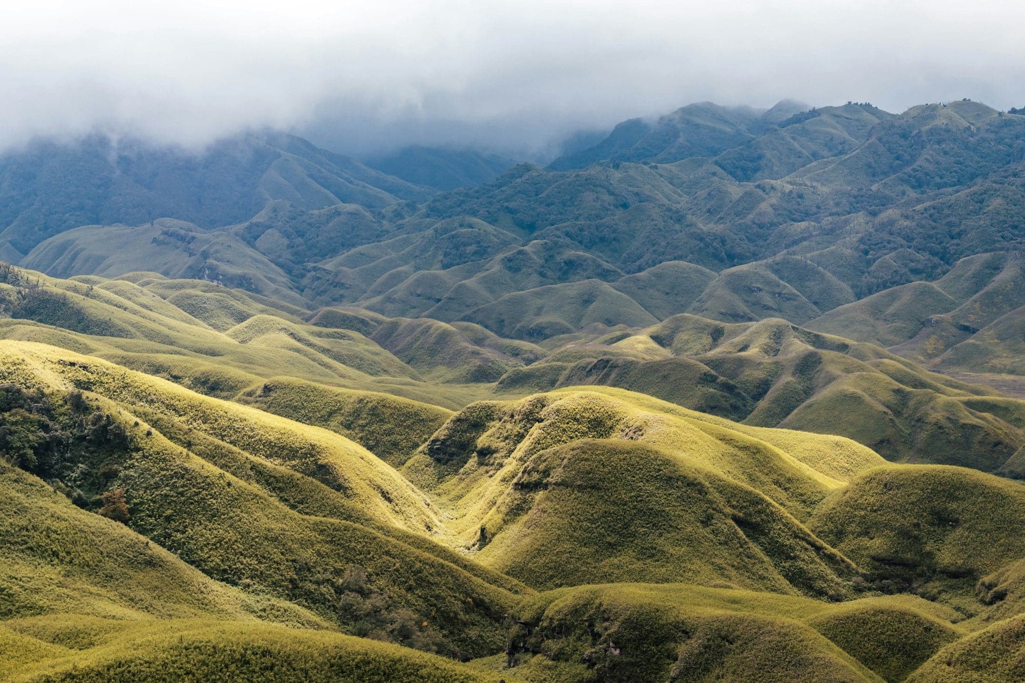Sunlit rolling green hills of Dzükou Valley in Nagaland